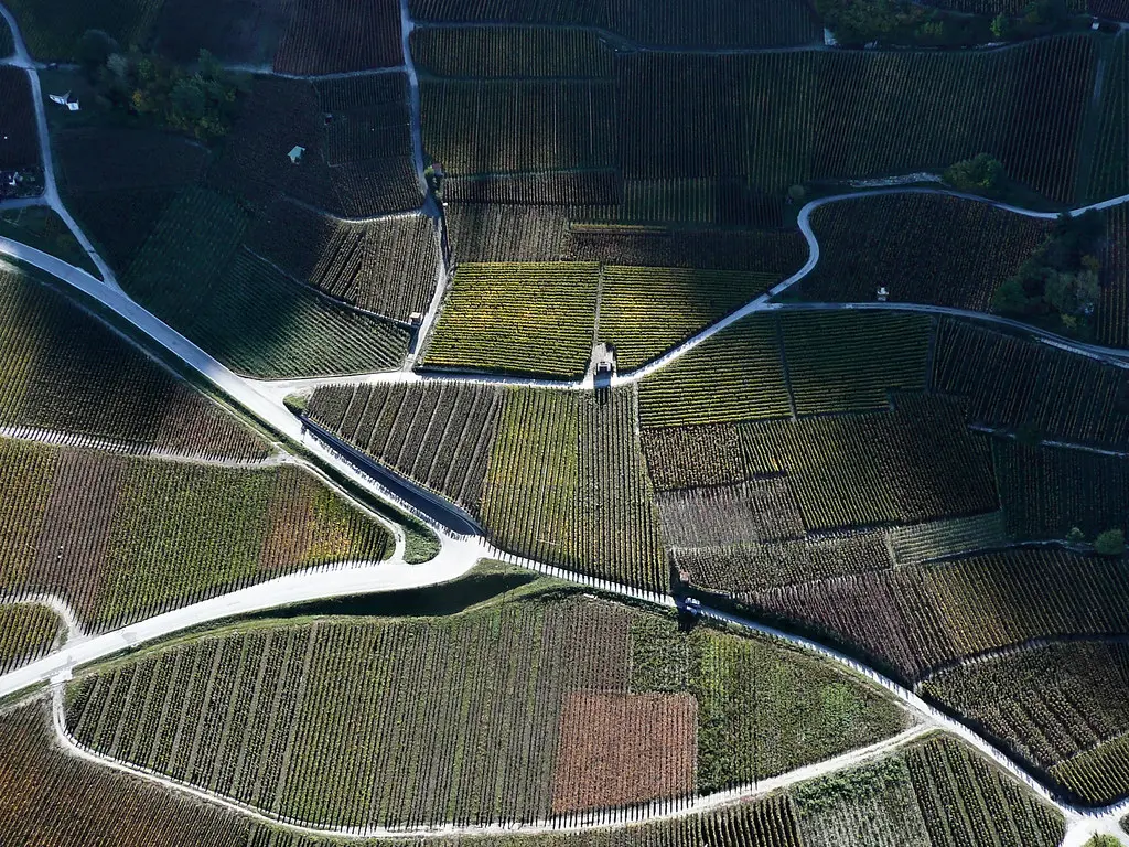 Vignoble de Chalais en automne