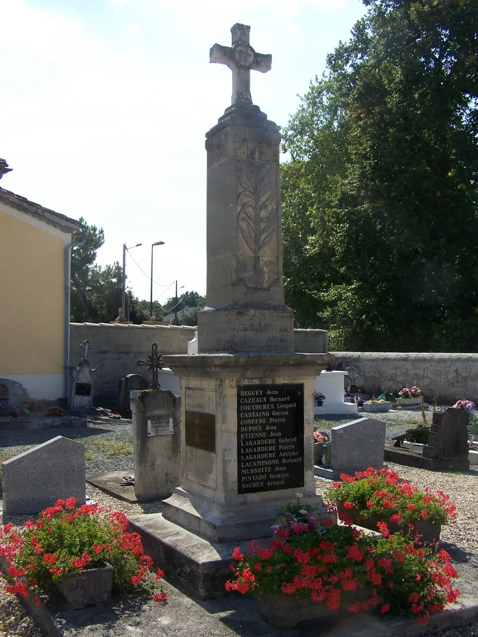 Coimères Mam