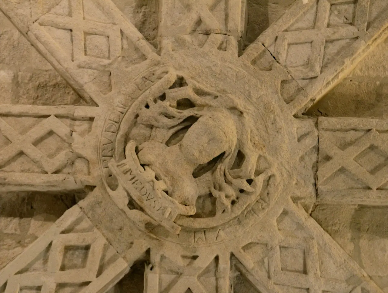 Medusa, clé de voûte de la 3e cuisine du château de Coulonges-sur-l'Autize