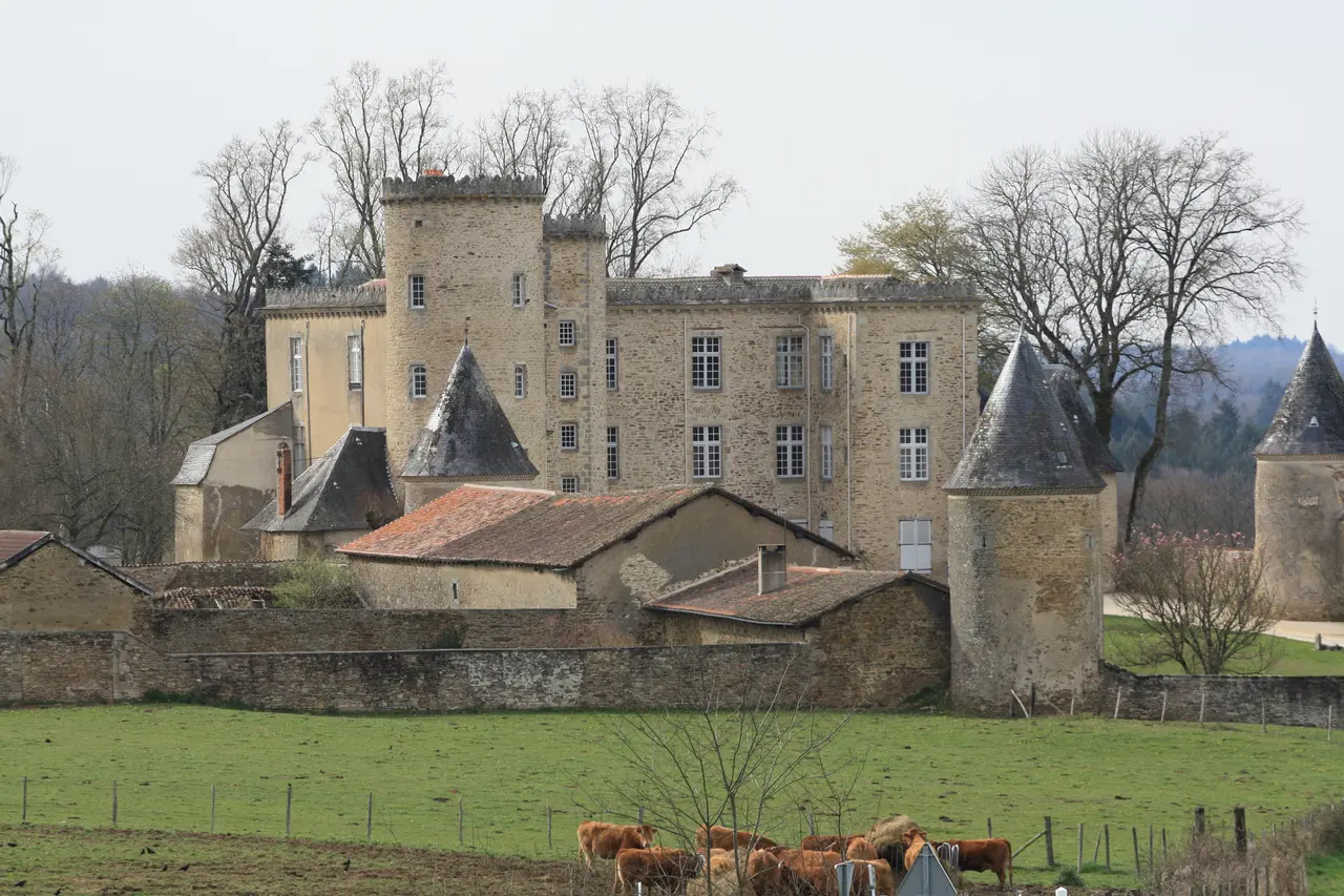 Château de Crosmières à Cussac -87-