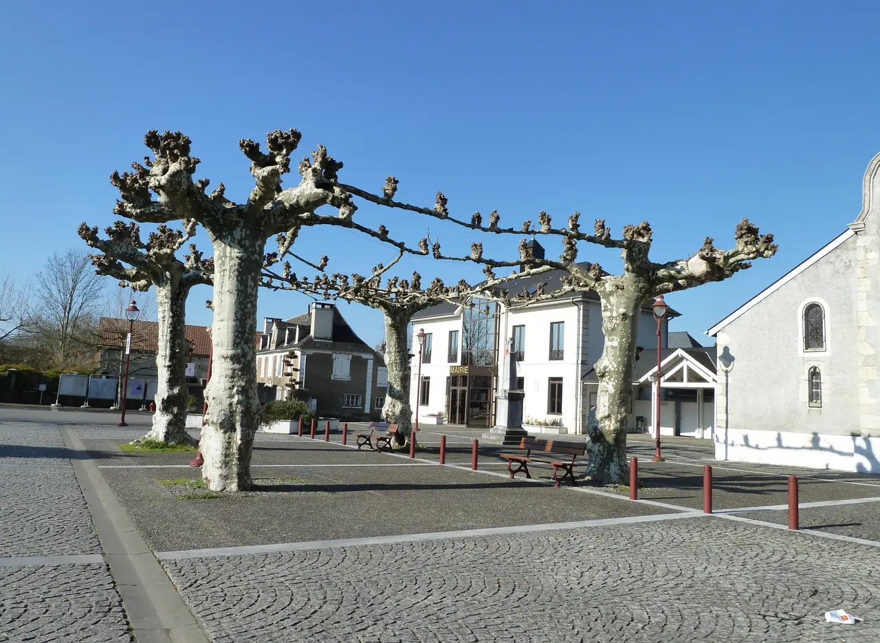 File:Centre de Denguin vue 2.JPG