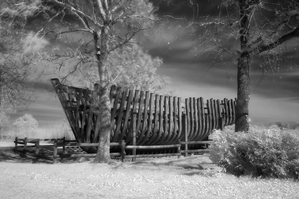 Charpente de bateau - Échillais