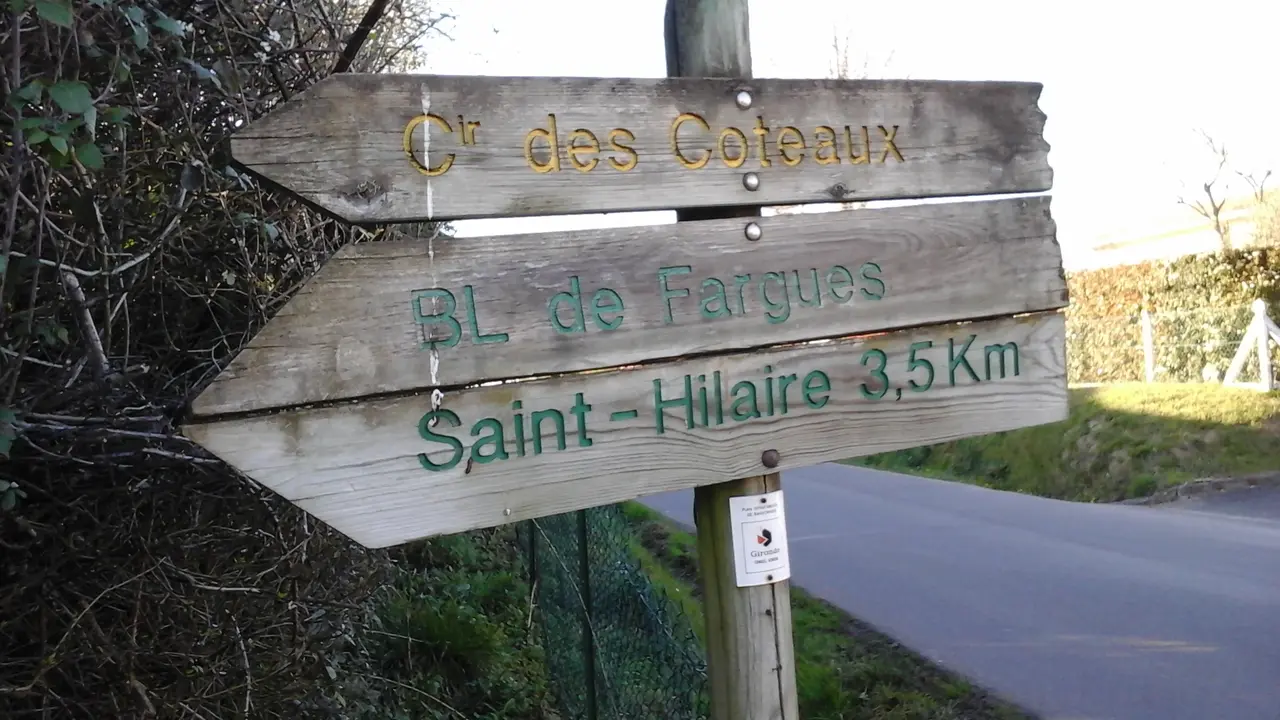 Fargues-Saint-Hilaire - Chemin de Domingot - 01