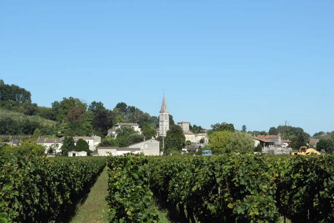 Vue du bourg de Saint-Michel de Fronsac depuis les vignes