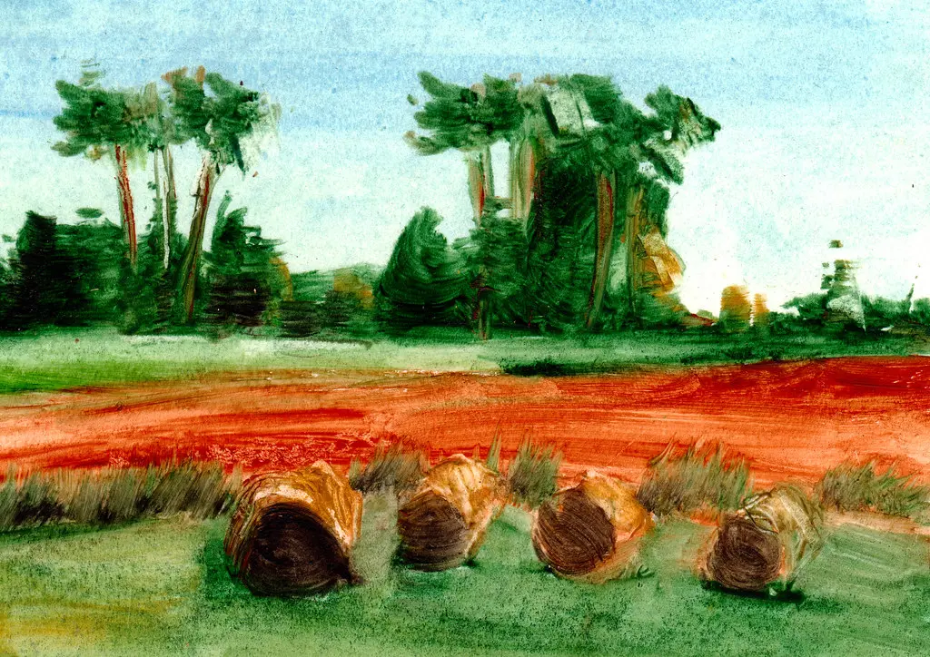 Parleboscq, les pins vers Gabarret