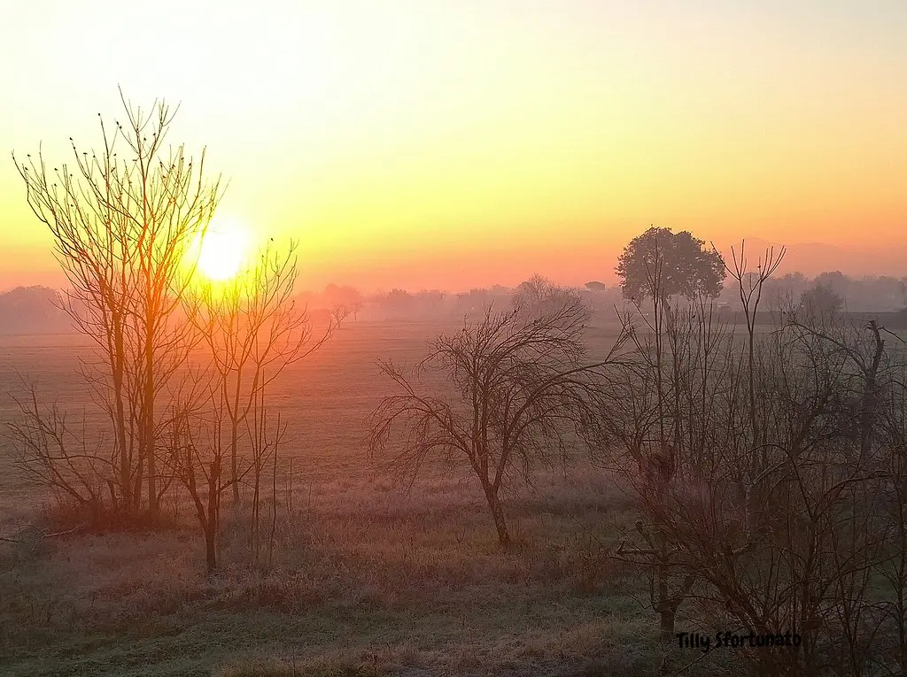 Il gelo dell'alba