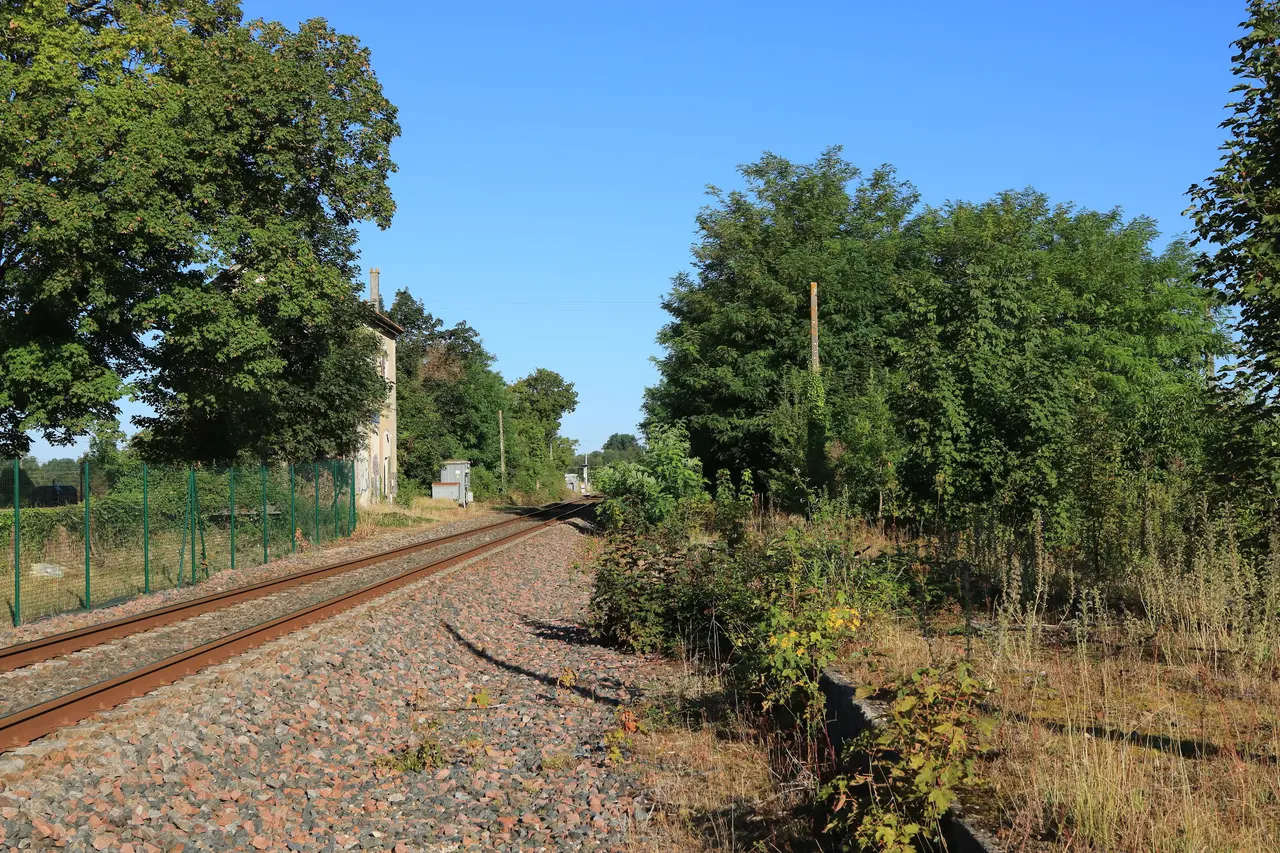 BV de Gensac-la-Pallue (3) par Cramos