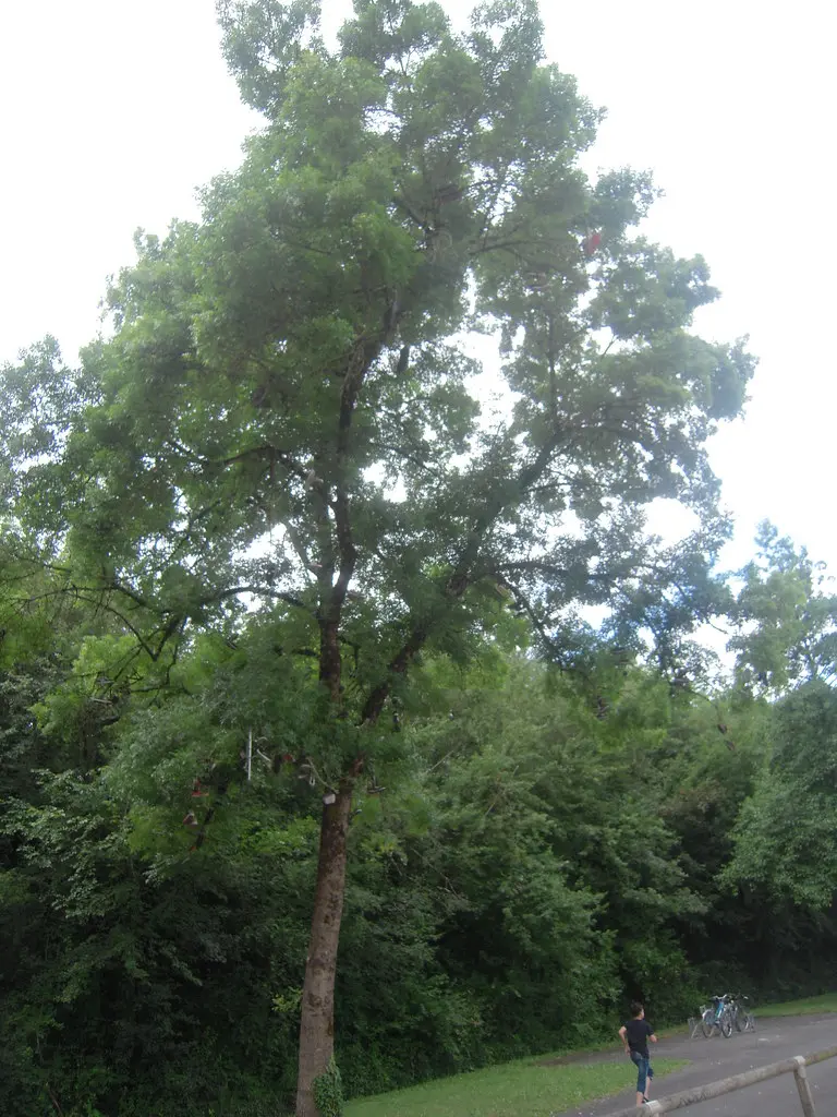 LE GOND PONTOUVRE