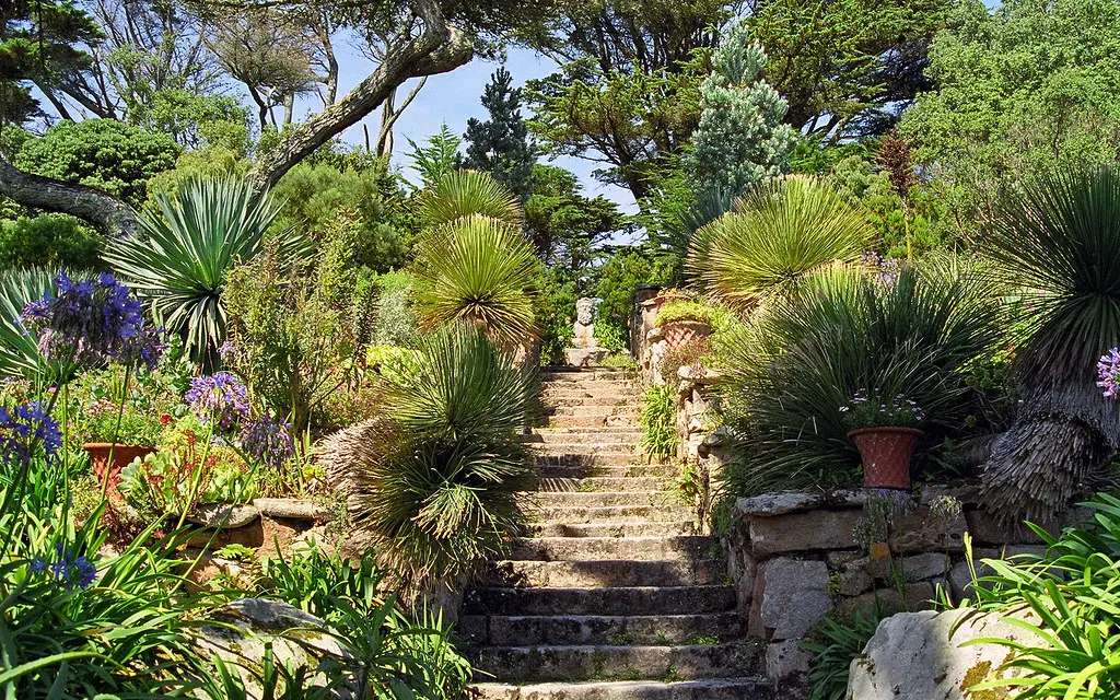 Tresco Abbey Gardens, Scilly Isles, UK | View of Neptune steps in this superb sub-tropical garden (4 of 12)