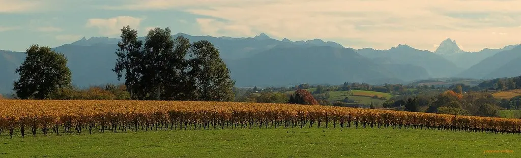Automne sur les côteaux de Jurançon et vue sur la chaîne des Pyrénées (64)