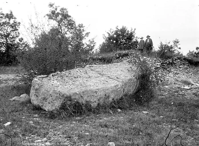 Dolmen dit de la Boixe.