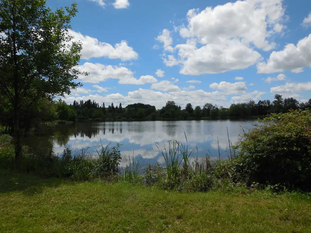 Etang de la Noue Douchy-Montcorbon (quartier de Douchy)