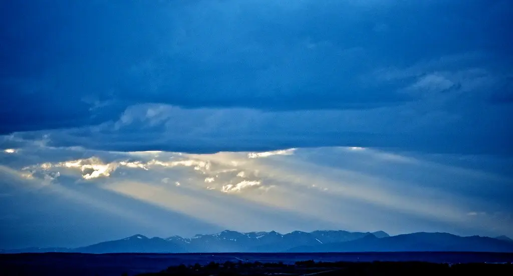 Gran Azul :: Great Blue :: Grand Bleu ::: 20150507 3697