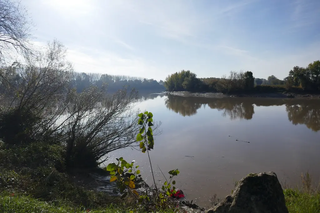 La Garonne, Langoiran, Entre-Deux-Mers, Gironde, Nouvelle-Aquitaine, France.