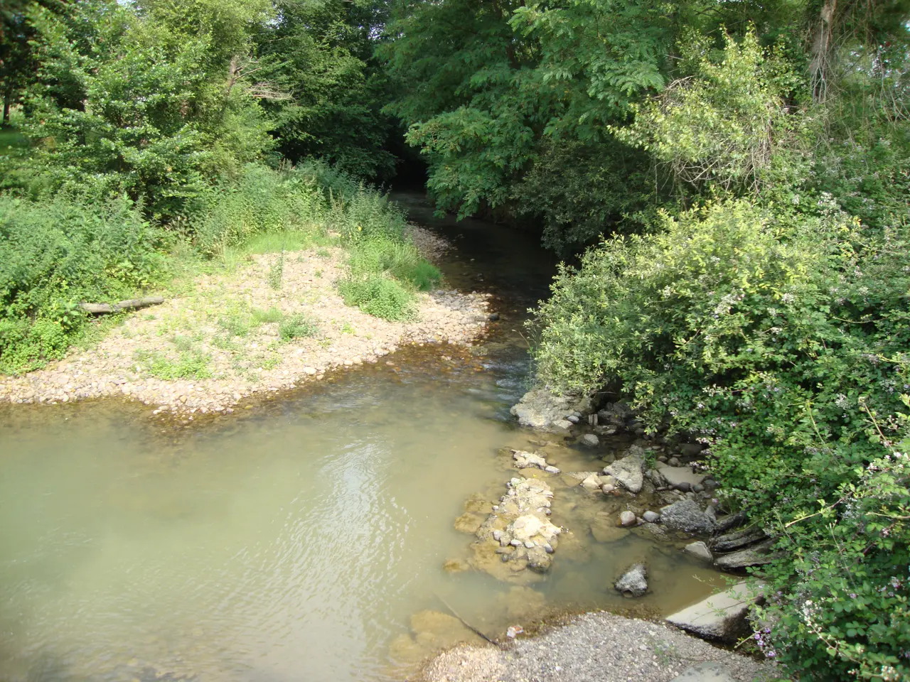 File:Anoye (Pyr-Atl, Fr), le Lées ou Léez.JPG