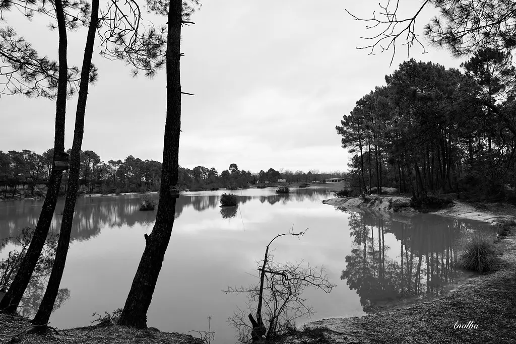 2020 Lac Bleu (Léognan)