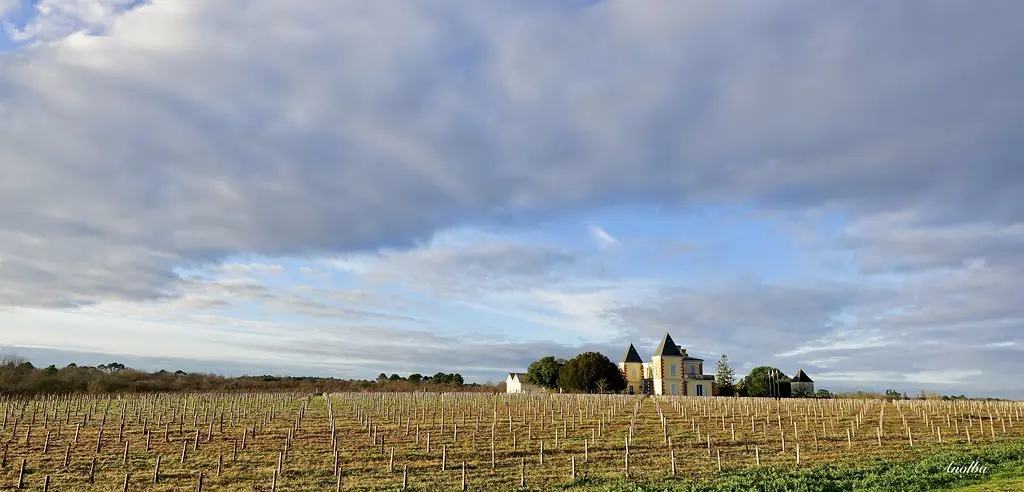 2020 Château de France (Léognan)