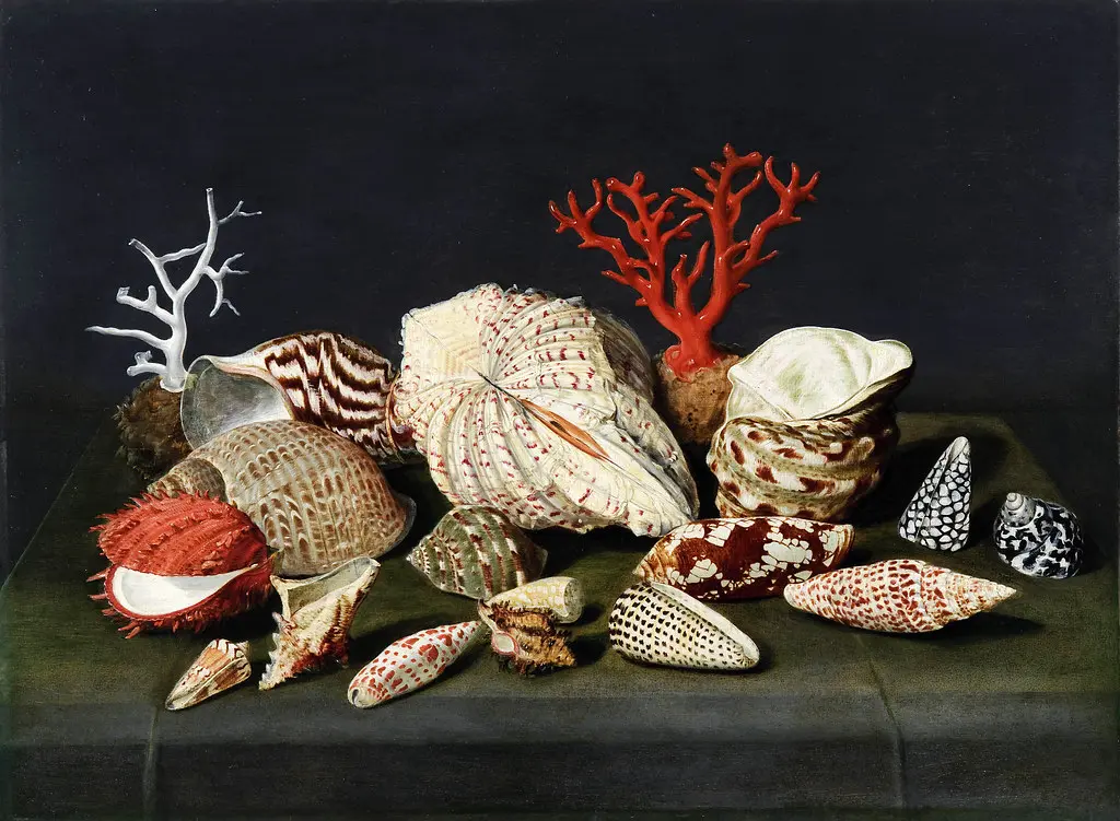 Still life with Shells and Coral by JACQUES LINARD