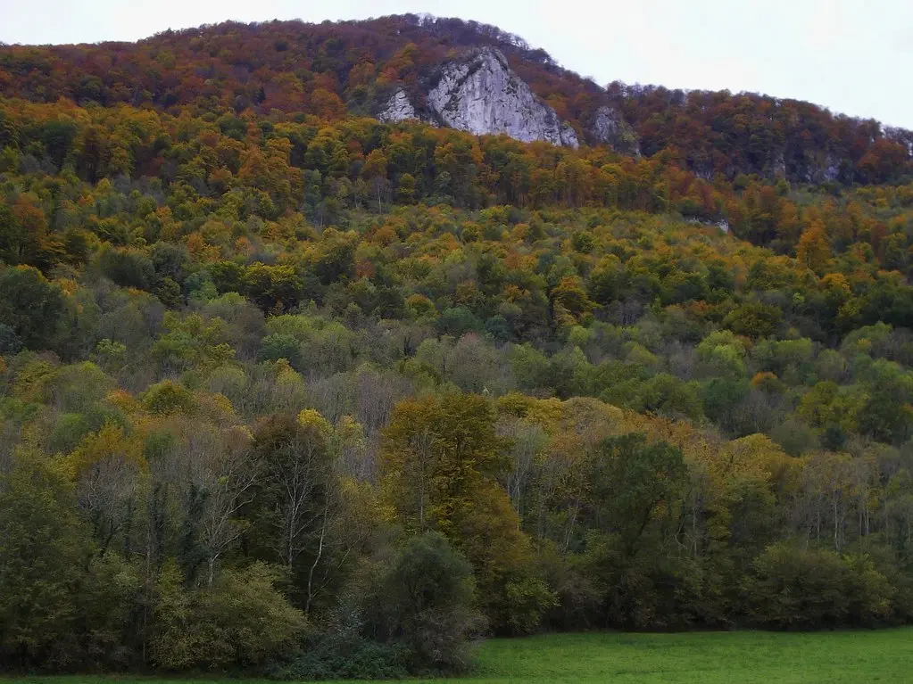 Roches perdues dans la forêt de hêtres, route de Nay, Louvie-Juzon, Béarn, Pyrénées Atlantiques, Aquitaine, France.