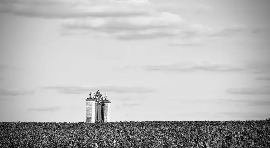 2020 Château Smith Haut Lafitte (Martillac-Gironde)