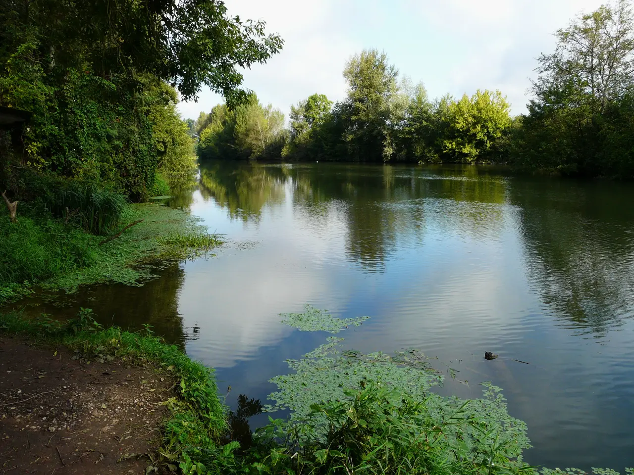 Isle Ménesplet (1)