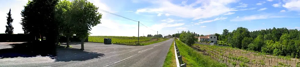 Vue d'une partie du camp celtique de Merpins
