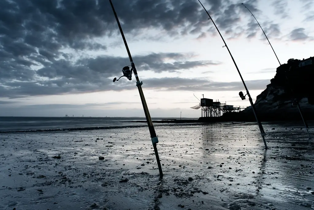 Meschers-sur-Gironde, Charente-Maritime, France