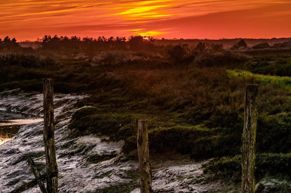 Le Chenal de Mornac