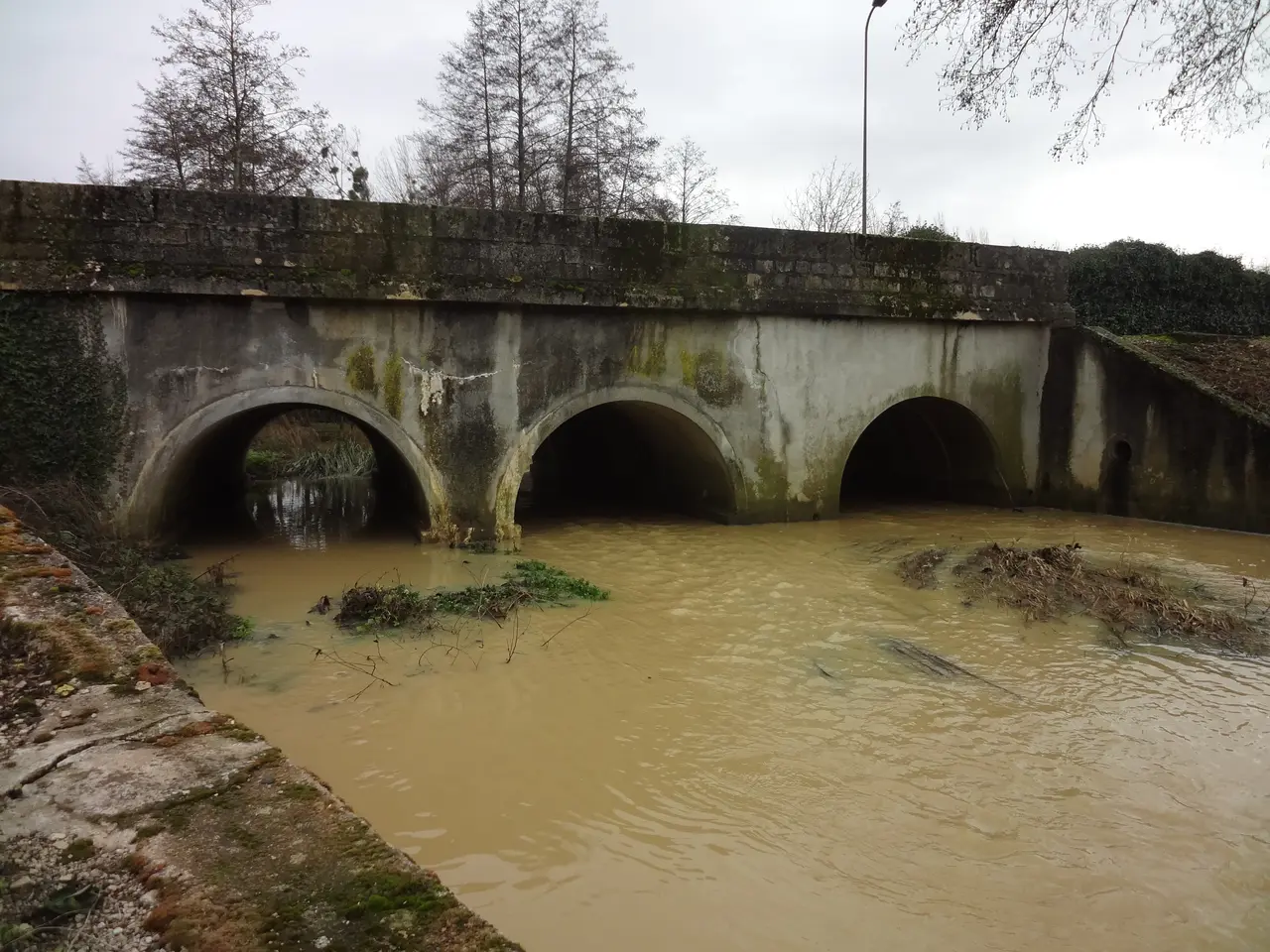 Nieuil-L'Espoir, pont de la RD 1 sur le Miosson