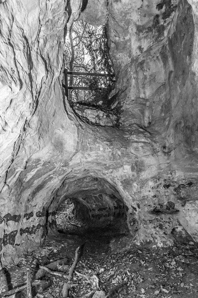 Grotte aux loups - Nouaillé Maupertuis
