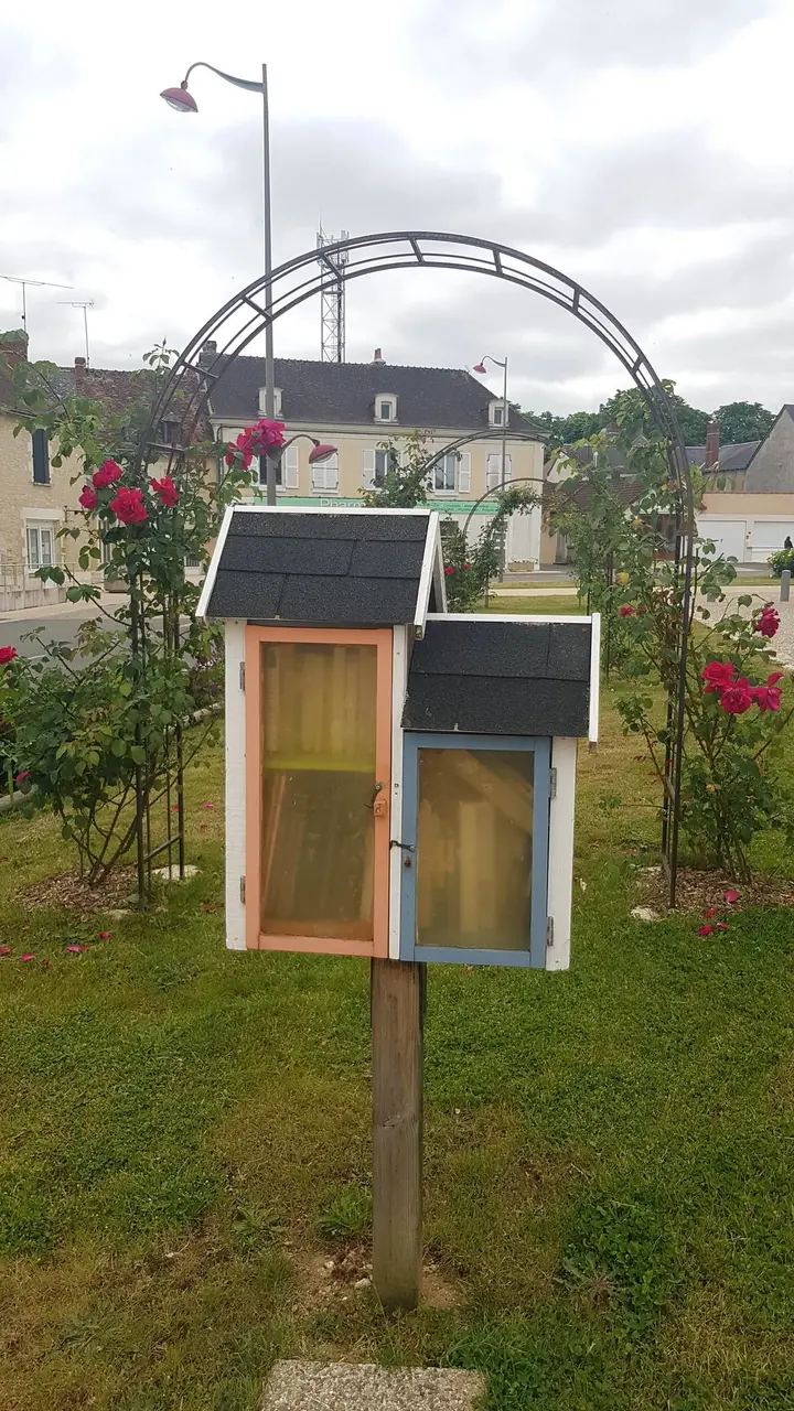 Pleumartin - Place de l'Hôtel de Ville - boîte à livres