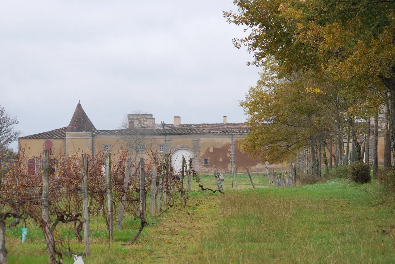 Sadirac Château du Tustal 1