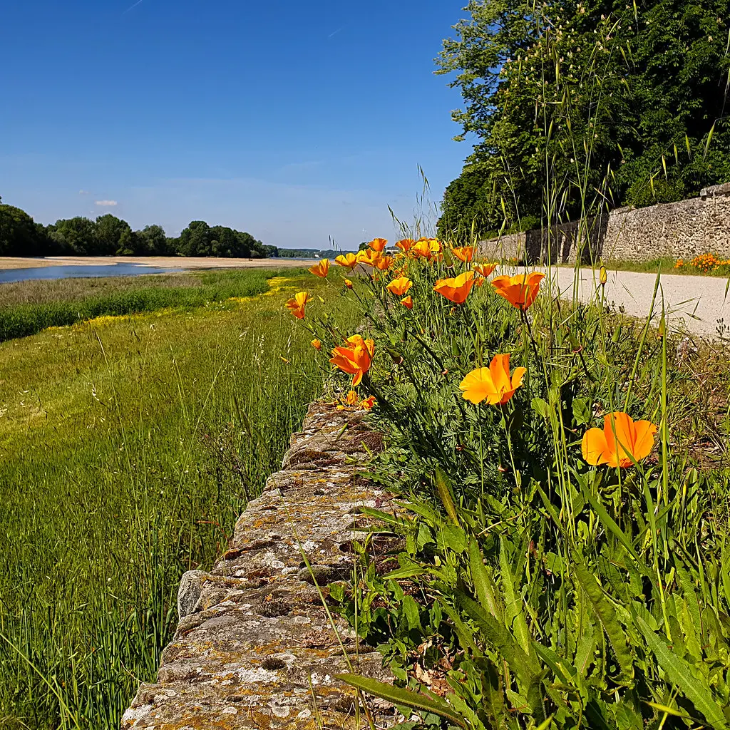 Sainte-Gemmes-sur-Loire, France