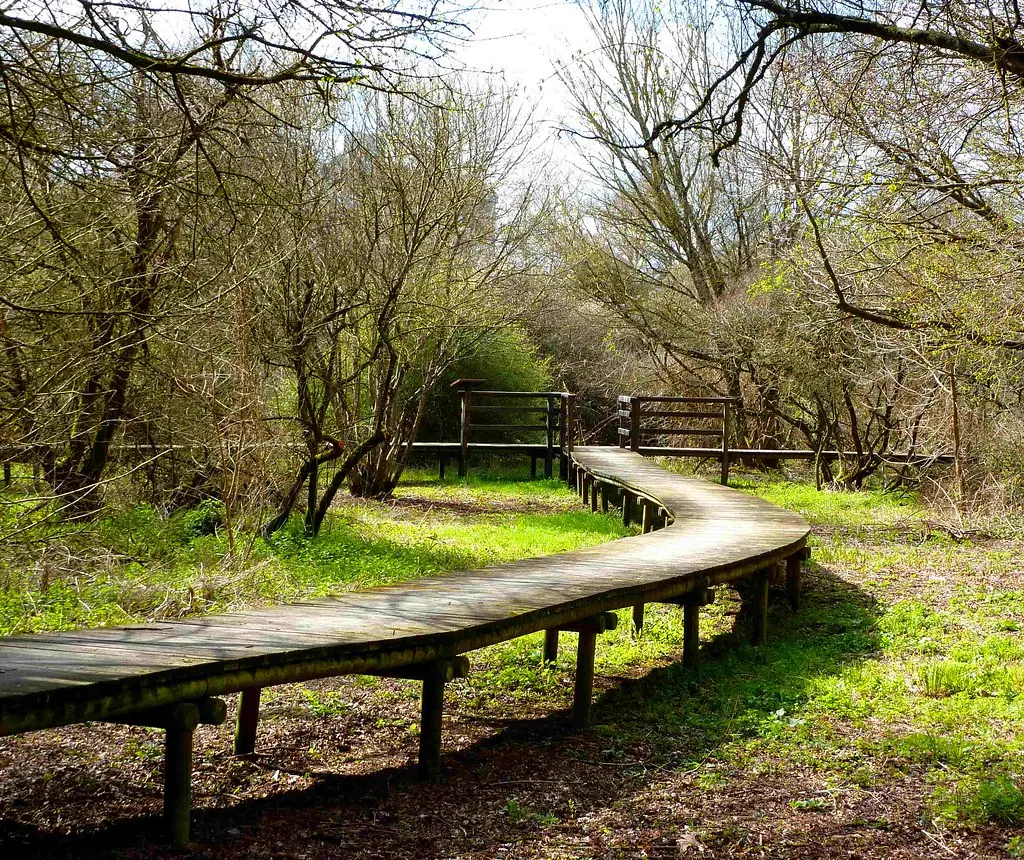 les jardins de la Clouère Usson du Poitou 86 © B Courouble