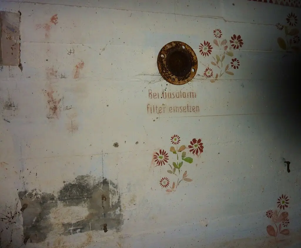 blockhaus aux fleurs villedoux RO266 H03