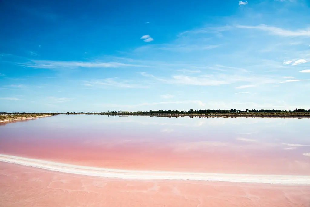 Aigues Mortes Salt Marsh II