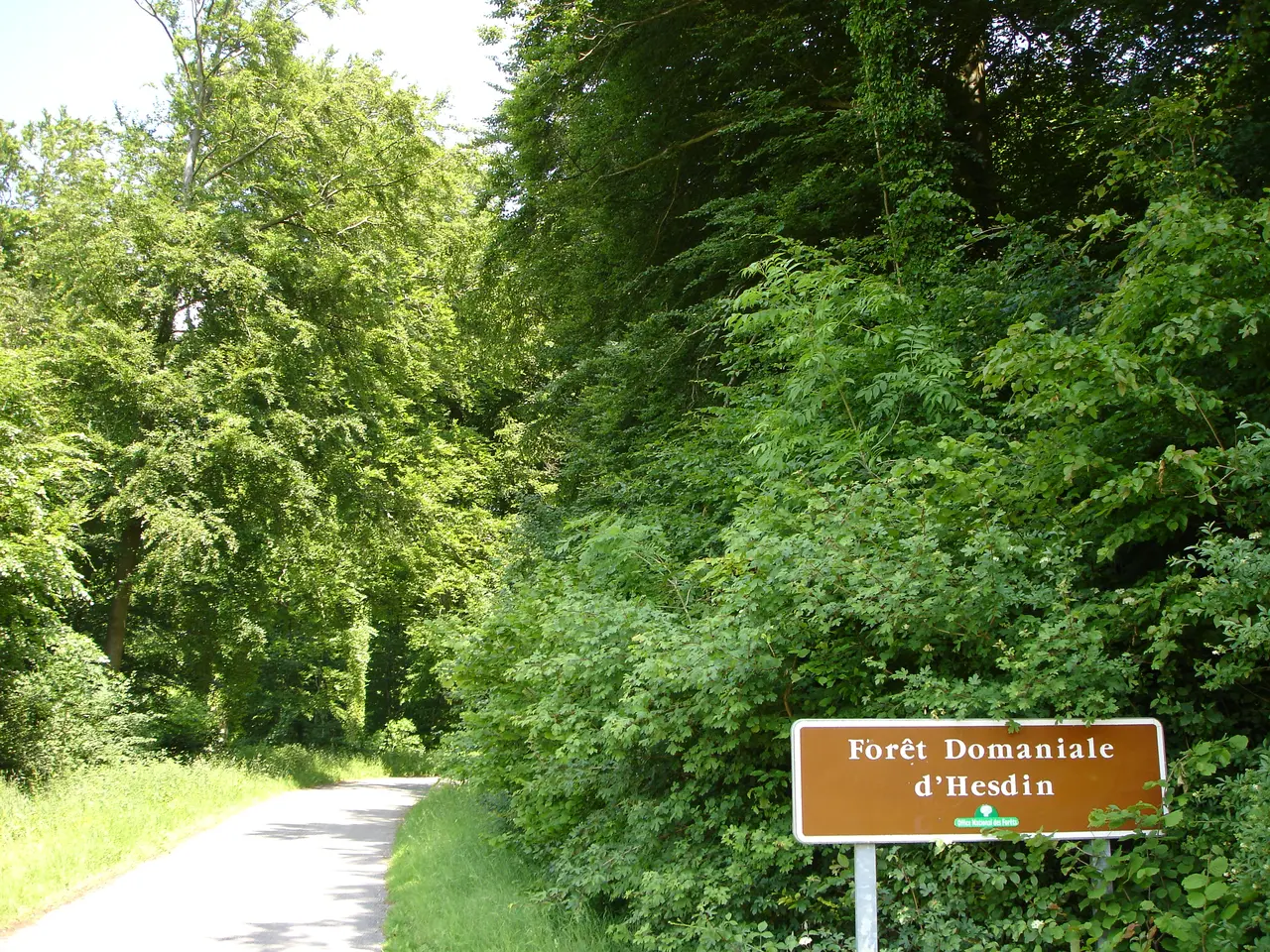 Entrée forêt d'Hesdin à Aubin-Saint-Vaast