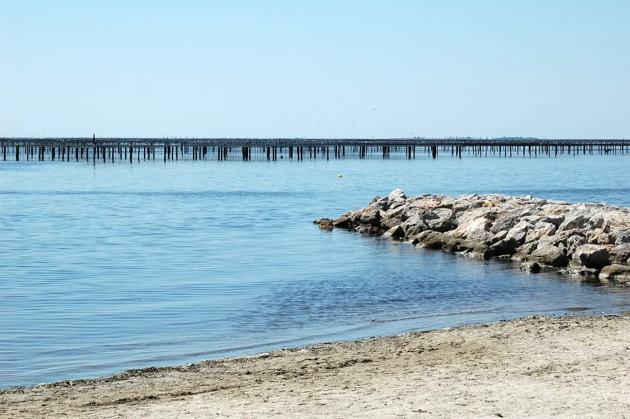 Bouzigues Parcs Moules