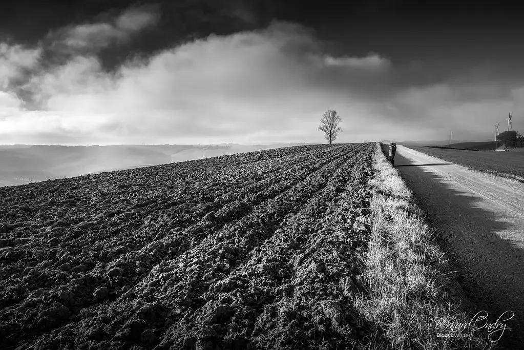 Les coteaux du Lauragais, entre Calmont et Nailloux...