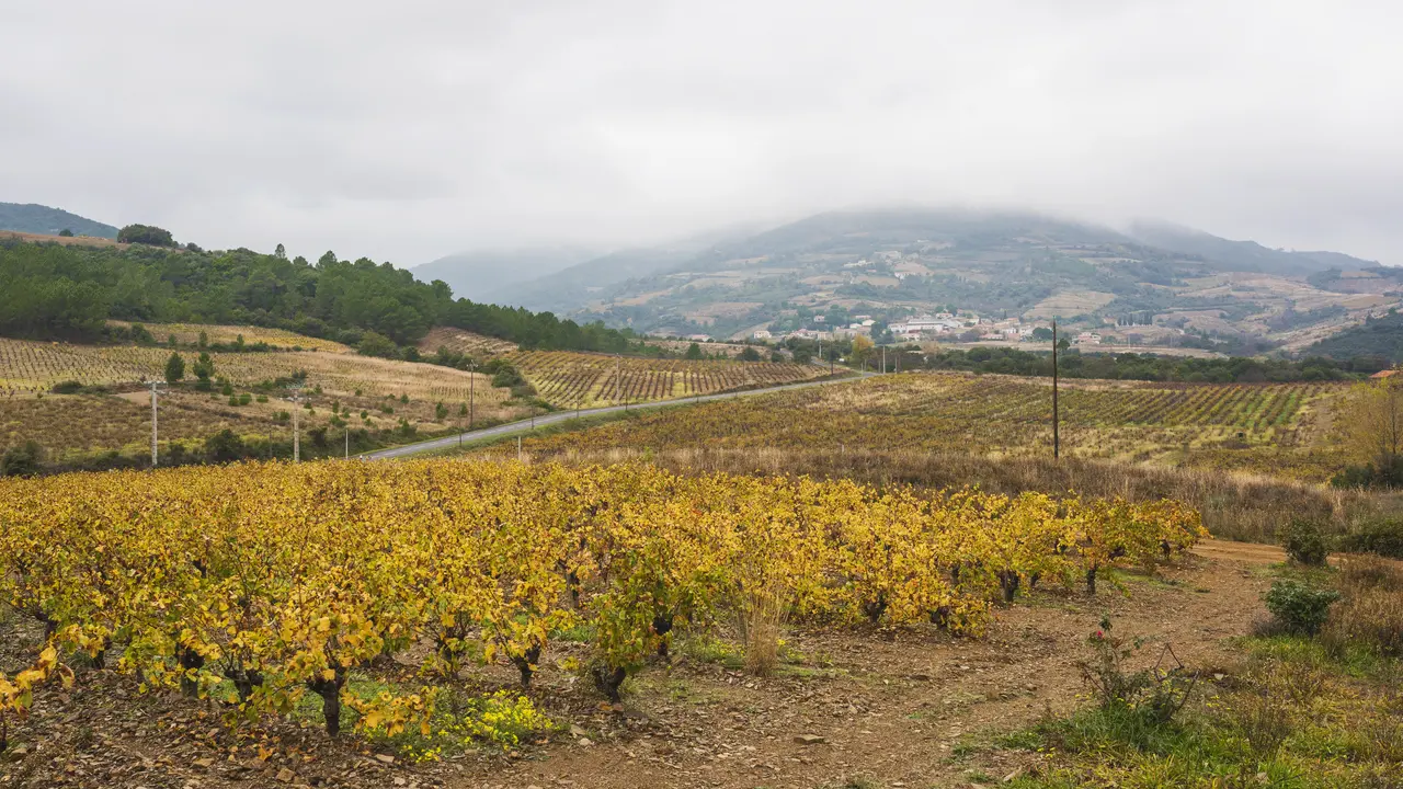 Berlou from Cessenon-sur-Orb 01