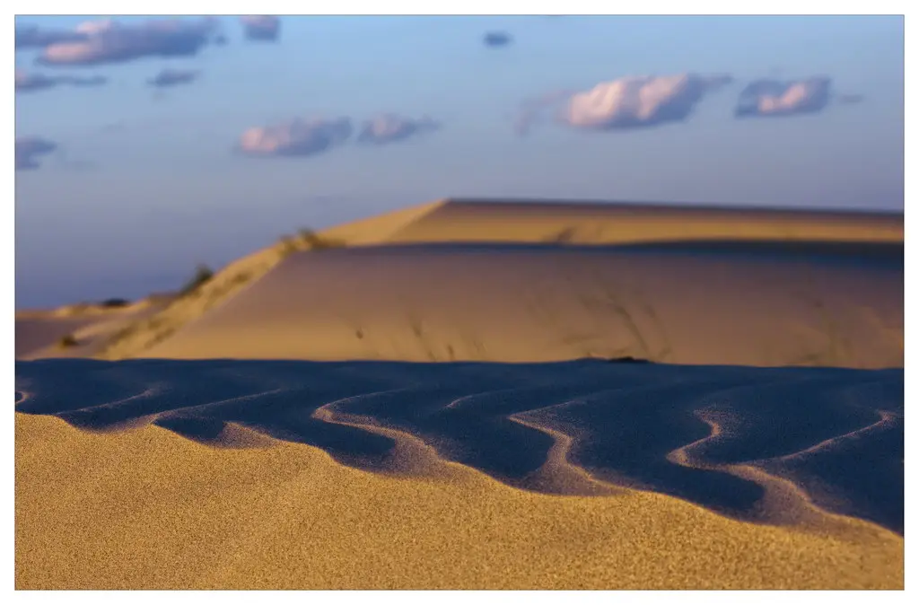 Dune Abstract