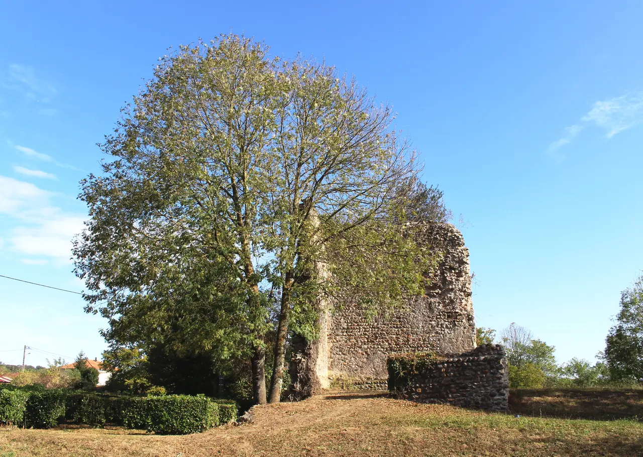 Château de La Barthe-de-Neste (Hautes-Pyrénées) 1