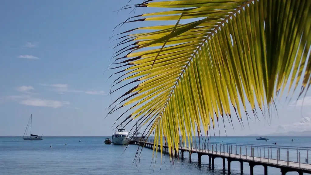Pour qui la Palme ?