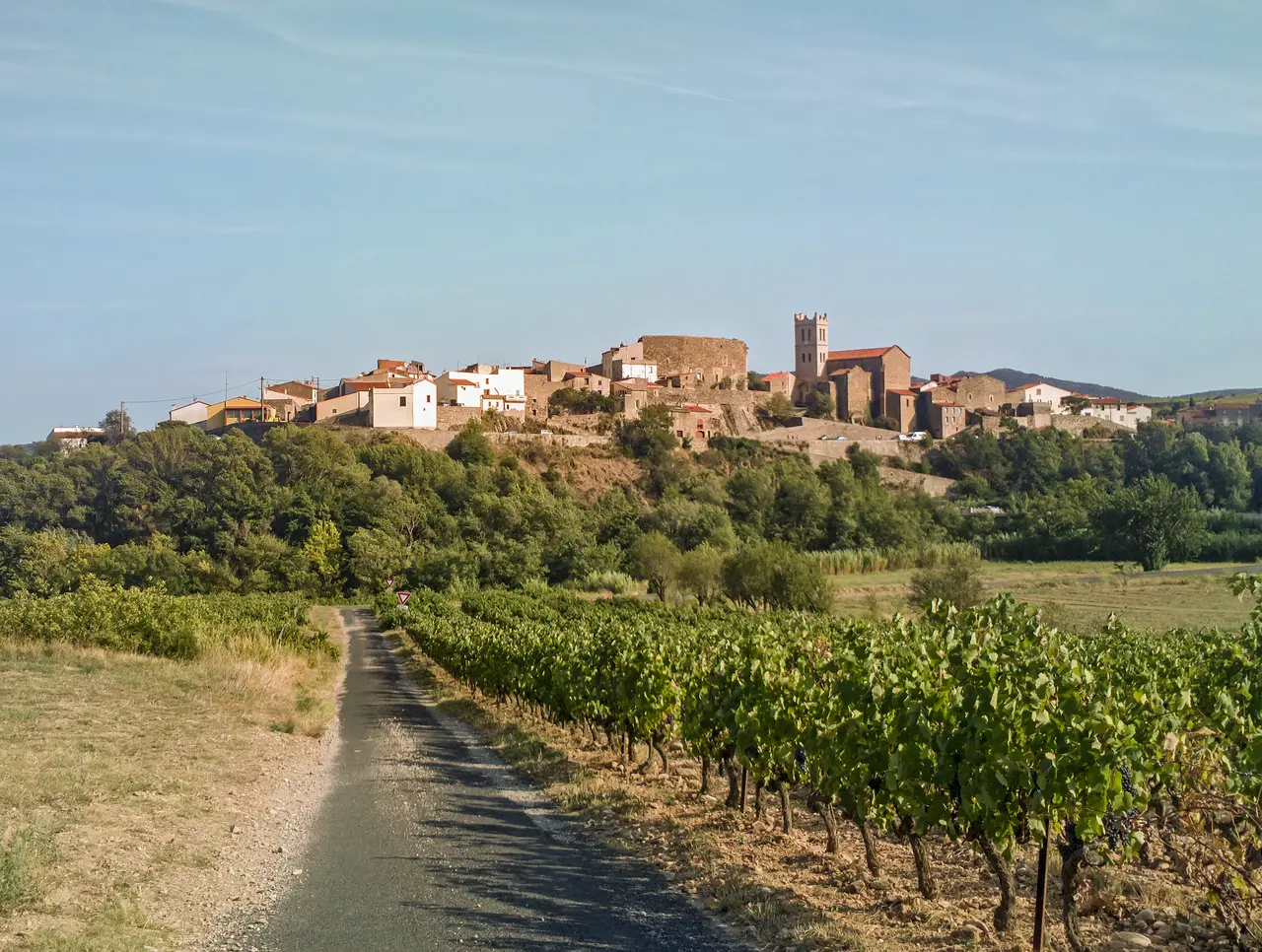 Latour-de-France - northwestern exposure
