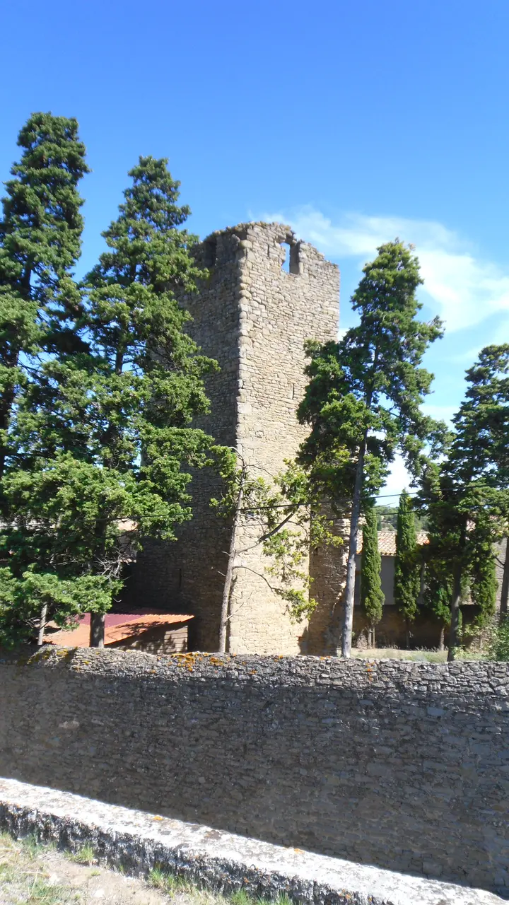 Laure-Minervois La tour Boisée AL1