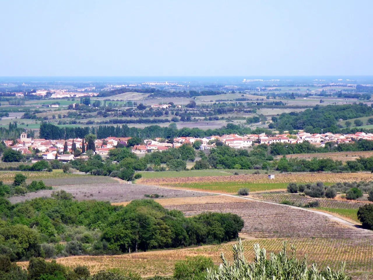 Llupia 01