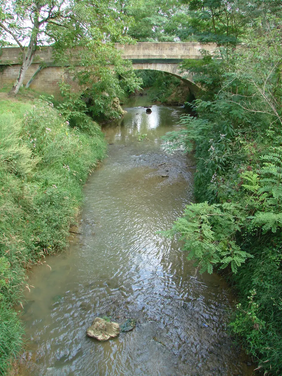 Marciac Bouès