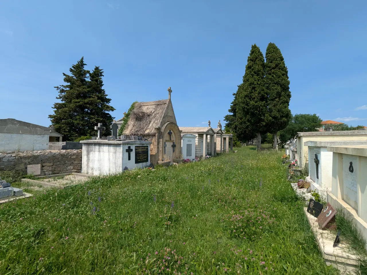 Méjannes-lès-Alès - Cimetière - Allée sud, depuis le portail