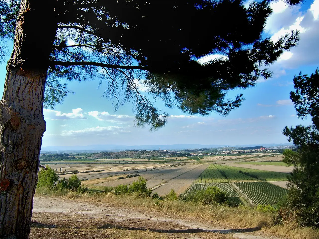 File:Vue sur l'étang de Montady XIIe siècle.JPG