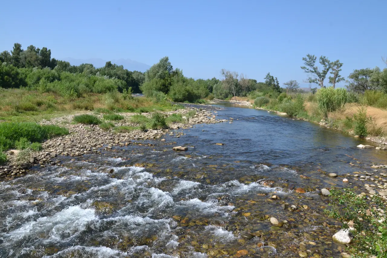 La Têt à Néfiach (1)